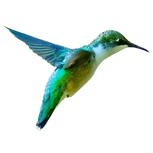 Hummingbird